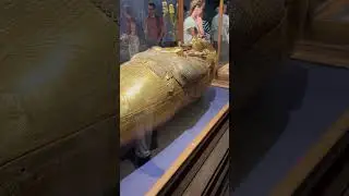 Tutenkhamun Gold Coffin at the Egyptian Museum, Cairo, Egypt