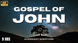 The Gospel of John (Full) | 2 Hours of Scripture for Deep Sleep, Relaxation & Healing