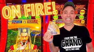 Бюджет 10 000 долларов, 100 000 долларов в Dragon Link! ➚ До 250 долларов за спин