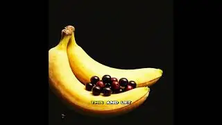 What type of fruit is a Banana?
