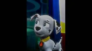 watch my heart burn || #pawpatrol #marshall #watchmyheartburn