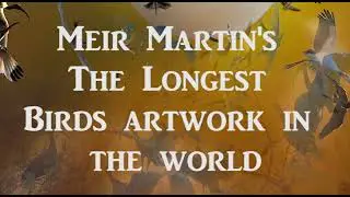 Meir Martin's creating the biggest birds artwork in the world