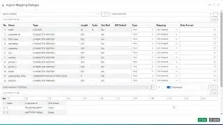 Importing delimited file into the data base
