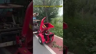 Environmental protection equipment treats tree branches