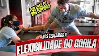 TESTAMOS O GORILA - ALONGAMENTO E FLEXIBILIDADE