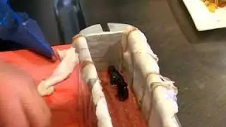 GPTV: Mijn Keuken... Pate