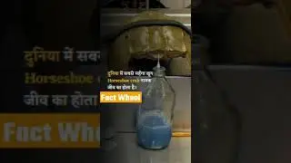 दुनिया का सबसे महंगा खून किस जीव का है 🤔? || #shorts #dailyfacts #arvindarorafact #FactWheel #Viral