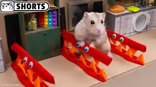 🐹 Хомяк сбегает из лабиринта Гренни и Грендпа #Shorts 🐹 Хомура Хам