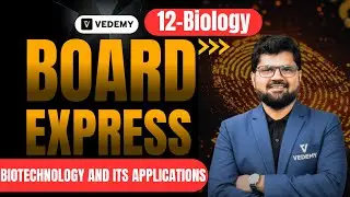 Board Express l⚡ L-2 