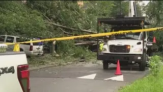 Why trees fall easier after rain | Weather Explainer