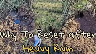 Why To Reset Your Trap After Heavy Rain ~ Checking the trapline {2021 2022 Season}