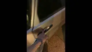 цз пятнарь