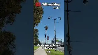 Still Walking &mdash; Beverly Hills #4 nice Walk | Calm City Ambience 4K