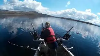 Ferox trout hits bait, underwater view
