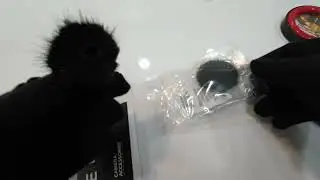 ELFOG DJI Mic Windmuff Ready Stock available at Ekadanta Enterprises