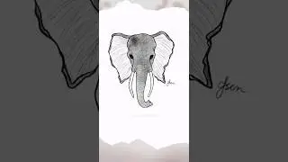 Animal Elephant Digital Drawing #art #procreate #artist #drawing #digitaldrawing