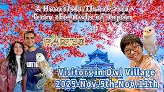Thank You Guests &ndash; Owl Caf&eacute; Harajuku Memories (Nov 5&ndash;11, 2025) 🦉✨ #OwlVillage