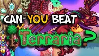 Can You Beat Terraria? | Betsy