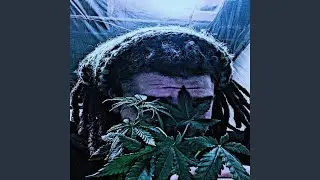 Weed