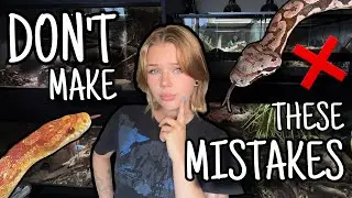 10 MISTAKES Snake Owners Make...