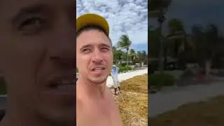 Саргасы  Мексика 🇲🇽 эко проблема