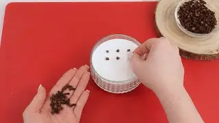 How to get rid of mold naturally – no harsh chemicals!