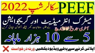 PEEF Scholarships 2022-23 Form For Matric Intermediate BA/BSc & Master level | Today Update