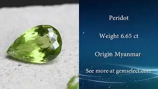 6.65ct Burma Peridot Olivine - GemSelect Video Review