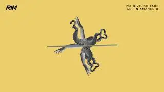 Iva Dive, Shitake - Al Fin Amanecio (Original Mix) // RIM