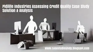 Pidilite Industries Assessing Credit Quality Ivey Case Study Solution & Analysis