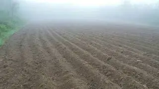 Proizvodnja krompira - potato cultivation