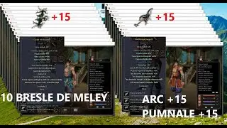 Ce am facut in 8 luni... Metin2 ro Ruby Kirin