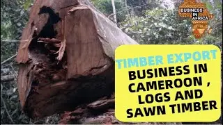 TIMBER EXPORT BUSINESS IN CAMEROON , LOGS AND SAWN TIMBER BUSINESS IN CAMEROON, TIMBER IN AFRICA
