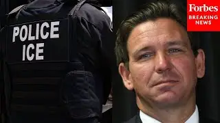'Times Have Changed': Ron DeSantis Reveals Results Of Operation Between ICE And FL Law Enforcement