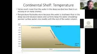 Aquatic Ecosystems  Continental Shelf Castro and Huber, Marine Biology, Ch 13