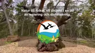 Trolleken
