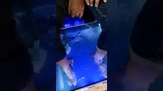 fish spa || munnar trip || fish spa || fun game || trilling experience|| fishtub