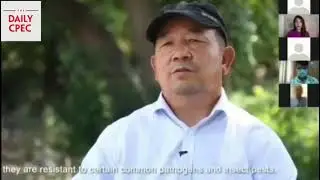 Pilot project Chilli Farm-100 acres completed | The Daily CPEC