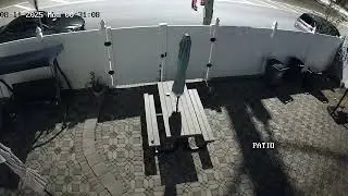 Viral 