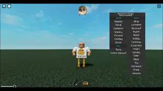 Roblox fe anim changer