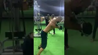Bravo Gym