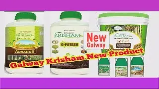 Galway krisham new product || krishan new products || glaze || go galway