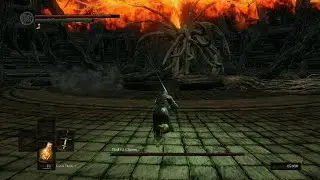 [DARK SOULS ] funny moment