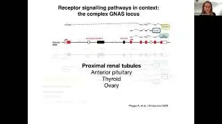 2024 ECI GPCR Symposium: Opening and Keynote I