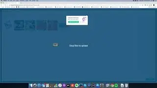 WP Basics