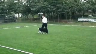 Dogdance Funturnier Feilbingert 2011 Reiner mit Lena