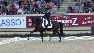 Severo Juesus Jurado Lopez & Deep Impact 3_CHIO Aachen Freestyle 2017