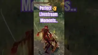 Elden Ring livestream perfection