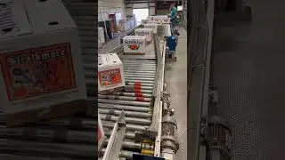 High speed automatic palletizer and layer forming - Packline Technologies #agriculturetechnology