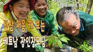 한국 드라마에서만 보았던 산삼 처음 캐 보는 베트남 장인장모님